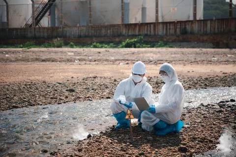 Ecologist sampling taken dead fish to inspaction and save data to laptop Stock Photos