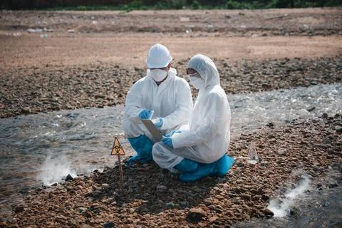 Ecologist sampling taken dead fish to inspaction and save data to laptop Stock Photos