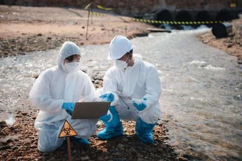 Ecologist sampling taken dead fish to inspaction and save data to laptop Stock Photos