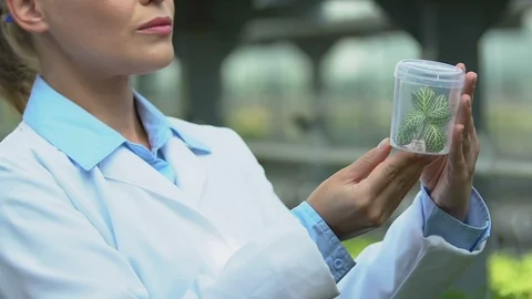 Ecologist in uniform looking at plant sample in test tube, laboratory research Stock-Footage 118910480
