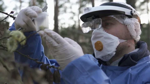 An ecologist in uniform takes a sample of a plant into a test tube Stock-Footage 152218936