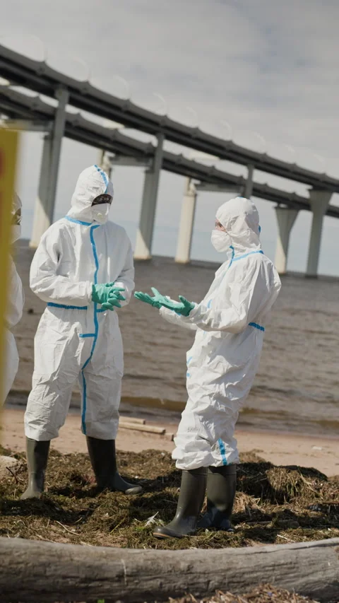 Ecologists in Hazmat Suits Examining Biohazard Pollution on Beach Stock-Footage 344722171