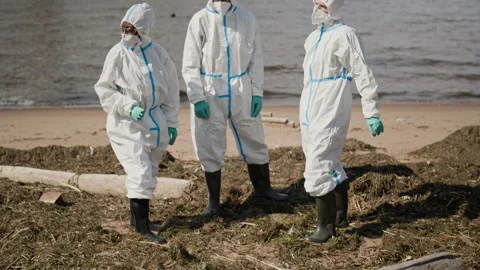 Ecologists in Hazmat Suits Inspecting Biohazard Contamination on Beach Stock-Footage 344717877