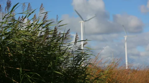 Ecology, alternative energy sources Stock Footage 34741279