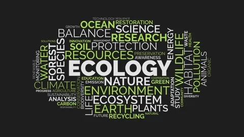 Ecology and environment word cloud animation with green and white text on d.. 库存影片 343780187