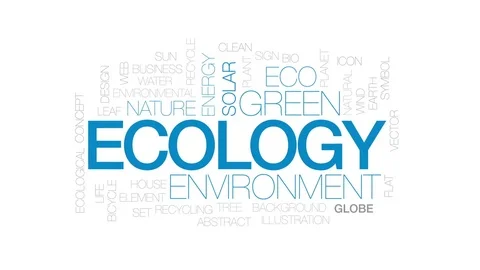 Ecology animated word cloud, text design animation. Kinetic typography. Stock Footage 79424259