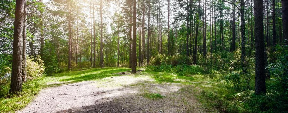 Ecology background Stock-Fotos