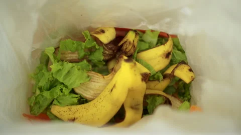 Ecology compost supply Kitchen waste sorting waste vegetable peels to recycle. Stock Footage 252635608