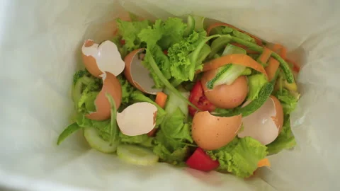 Ecology compost supply Kitchen waste sorting waste vegetable peels egg shell. Stock Footage 252647530