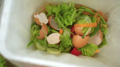 Ecology compost supply Kitchen waste sorting waste vegetable peels egg shell. Stock Footage 252647583