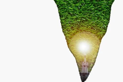 Ecology Concept Background Stock Photos