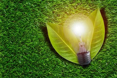 Ecology Concept Background Stock Photos