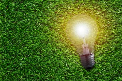 Ecology Concept Background Stock Photos