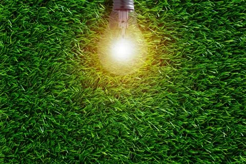 Ecology Concept Background Stock Photos