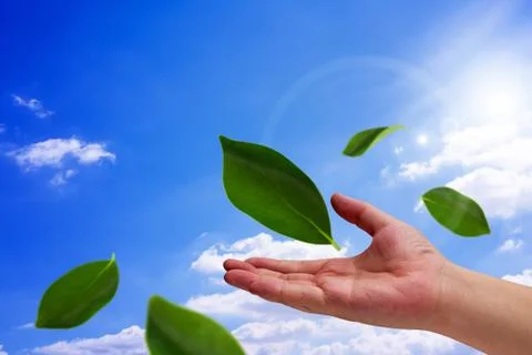 Ecology Concept Background Stock Photos