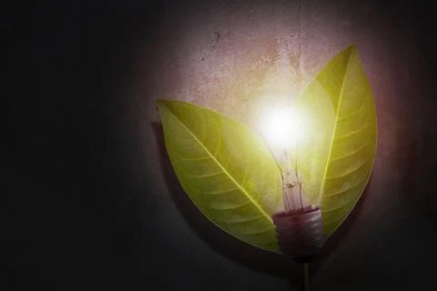 Ecology Concept Background Foto stock