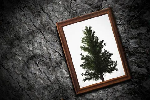 Ecology Concept Background Stock Photos