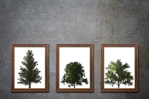 Ecology Concept Background Stock Photos