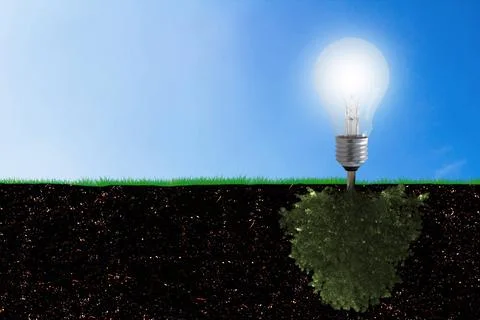 Ecology Concept Background Stock Photos