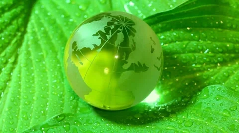 Ecology concept Stock Footage 8647336