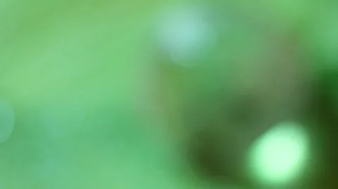 Ecology concept Stock Footage 8661089