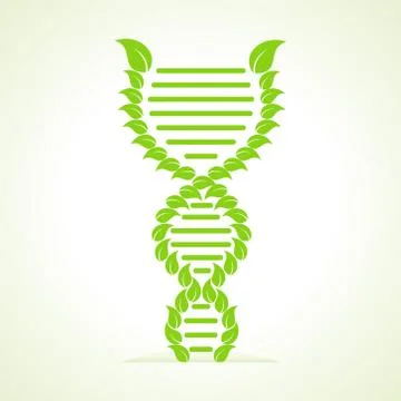 Ecology concept- leafs make a DNA strand Stock Illustration