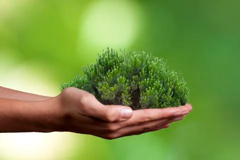 Ecology concept 스톡 사진