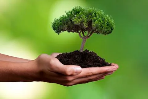 Ecology concept Stock Photos
