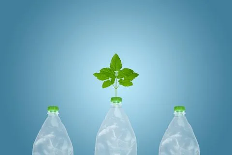 Ecology concept Stock Photos