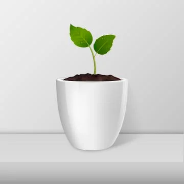 Ecology concept. Vector sprout in a white flower-pot closeup standing on white Stock Illustration
