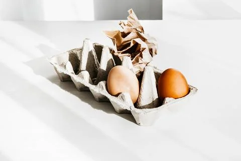 Ecology creative concept. Reusing and recycling. Two brown chicken eggs and Stock Photos