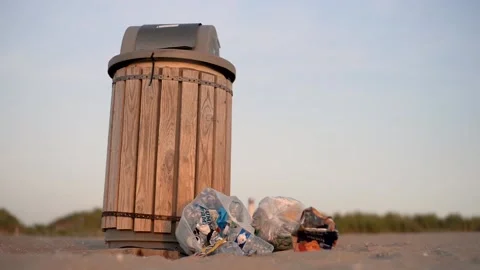 Ecology editorial concept seagull scavenging beach trash, Netherlands Stock Footage 133115787