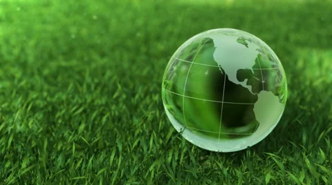 Ecology environment concept, glass globe in the green grass Stock Footage 61483985