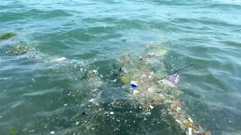 Ecology, environmental pollution: garbage floats in sea water. slow motion video Stock Footage 194998727