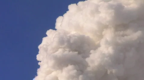 Ecology 動画素材 596244