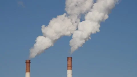 Ecology Stock Footage 1106225