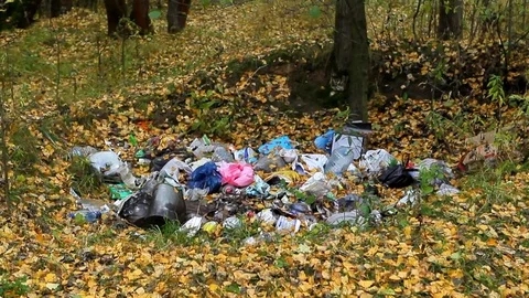 Ecology garbage in the forest Stock Footage 83362646