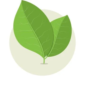 Ecology Stock Illustration