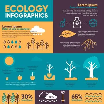 Ecology infographic template Stock Illustration