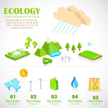 Ecology Infographics Chart Stock Illustration