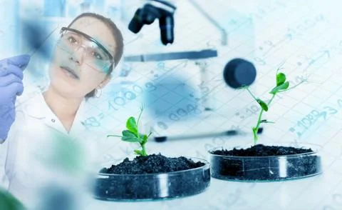 Ecology laboratory. Stock Illustration