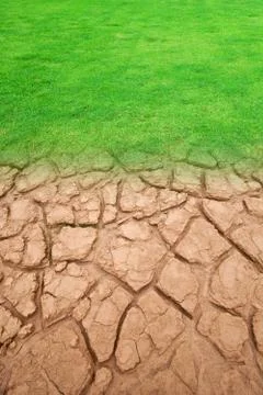 Ecology landscape Stock Photos