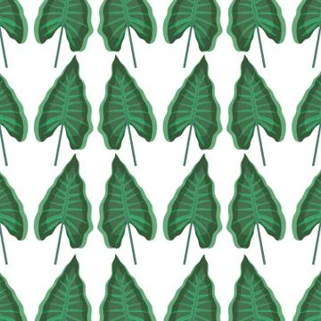 Ecology leafs plants pattern Stock Illustration