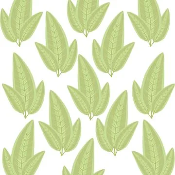 Ecology leafs plants pattern 스톡 일러스트