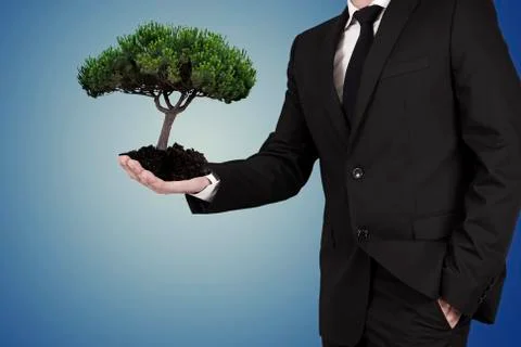 Ecology Stock Photos