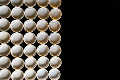 Ecology Stock Photos