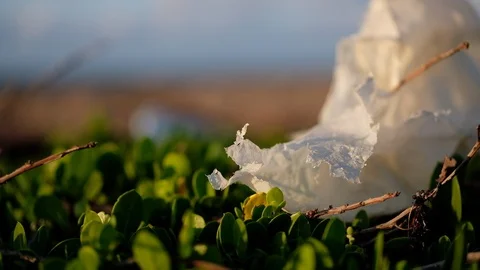 Ecology: Plastic Pollution On The Beach Stock Footage 105901053