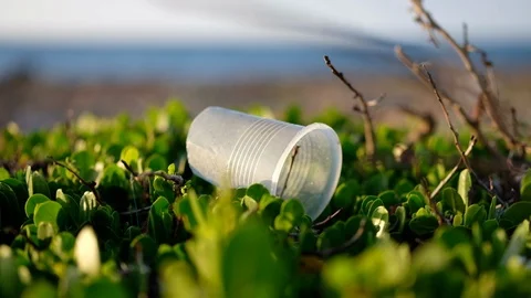 Ecology: Plastic Pollution On The Beach Video stock 105901095