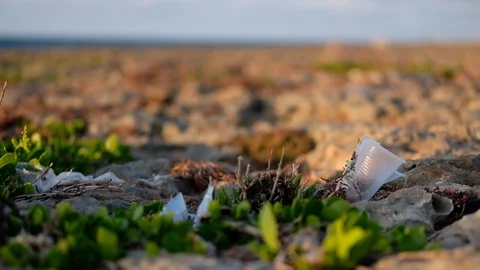 Ecology: Plastic Pollution On The Beach Stock Footage 105901105