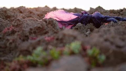 Ecology: Plastic Pollution On The Beach Stock Footage 105902096